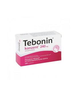Tebonin konzent 240 mg (120)