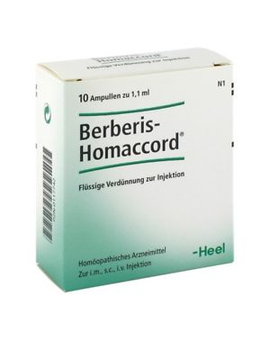 Berberis Homaccord (10)