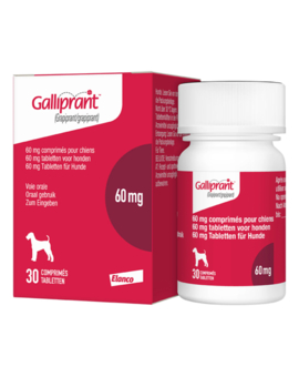 Galliprant® für Hunde 60 mg Tabletten (30)