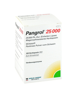 PANGROL 25.000 Hartkps.m.magensaftr.überz.Pell. (100)