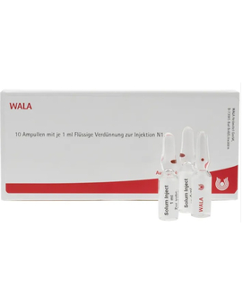 CEREBRUM COMP.B Ampullen (10X1 ml)