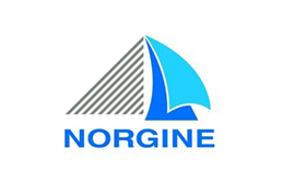 Norgin